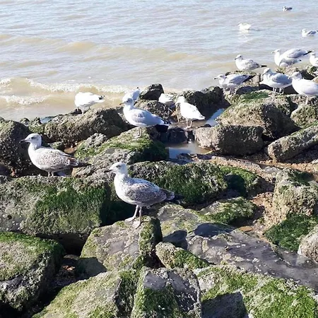 Villa In St-idesbald Near The Sea Koksijde